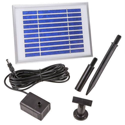 Kostenloser Sonnenstrom Solar Springbrunnen NSP10 Frosch auf Stein