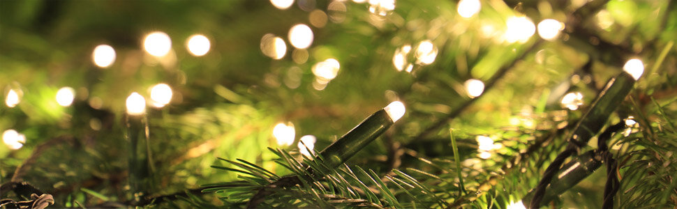 CLGarden Premium Lichterkette mit 600 warm weißen LEDs...