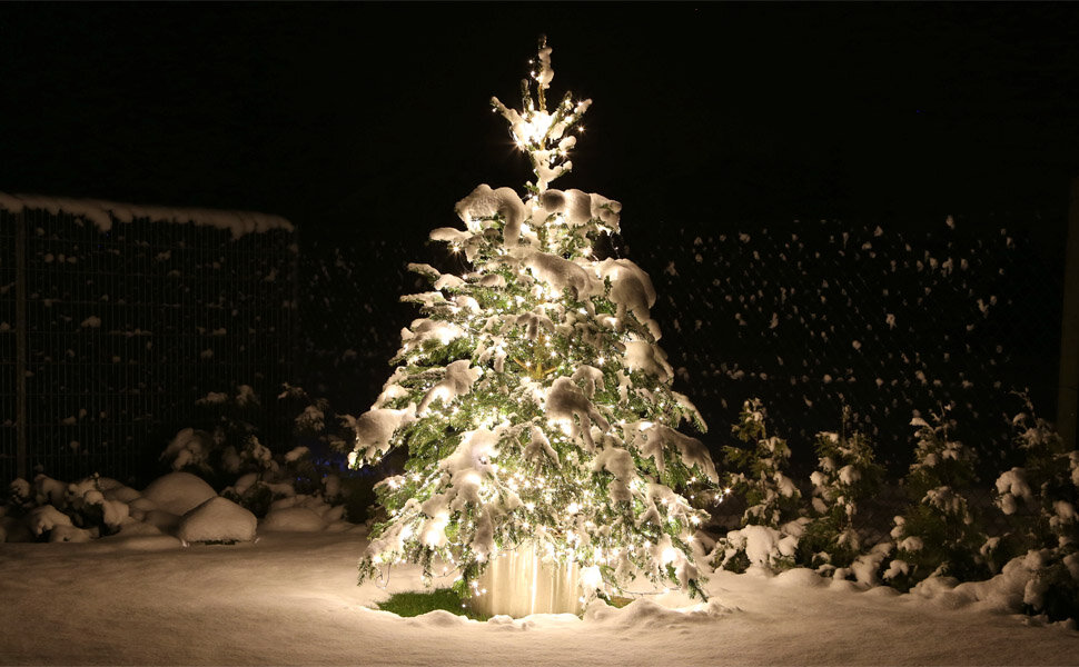 CLGarden Premium Lichterkette mit 400 warm weißen LEDs...