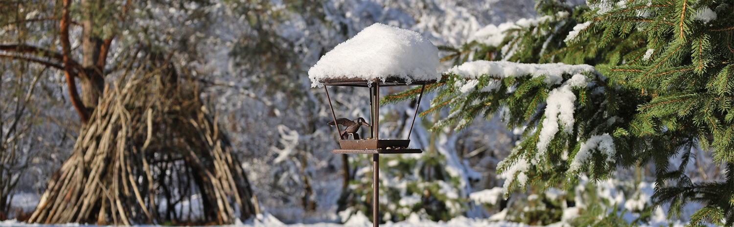 Vogelfutterhaus VFH1 aus Gusseisen mit Schnee auf dem Dach