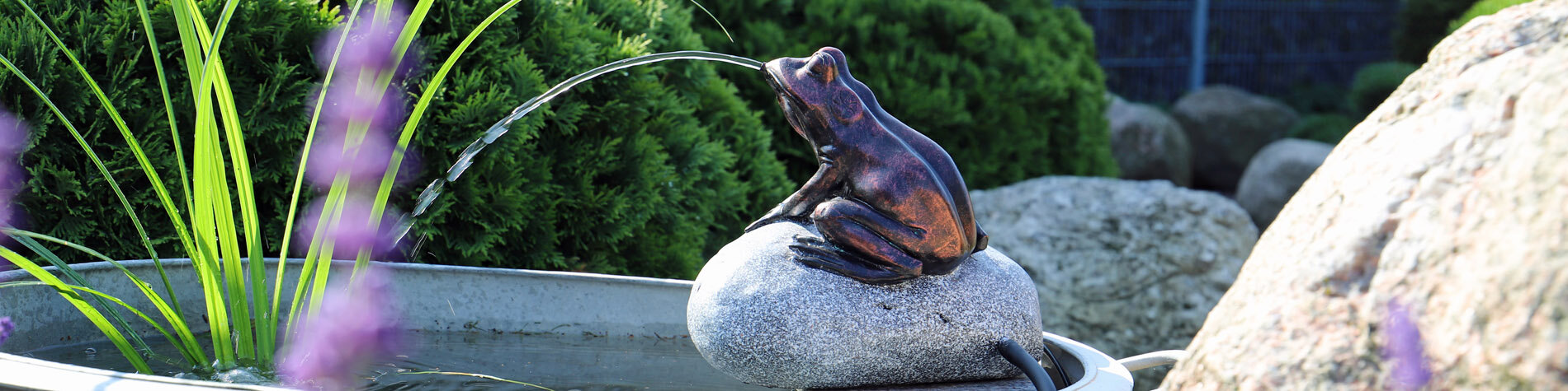 Banner NSP10E Wasserspeier Frosch in Zinkwanne