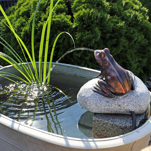 Teich Wasserspiel Frosch auf Stein