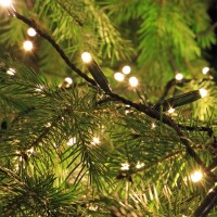 Premium LED Lichterkette LKN
