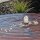 Springbrunnen Cortenstahl Wasserschale SCWS80