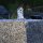 Springbrunnen Pumpe SP2
