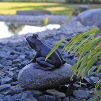 Figur Wasserspeier Frosch auf Stein